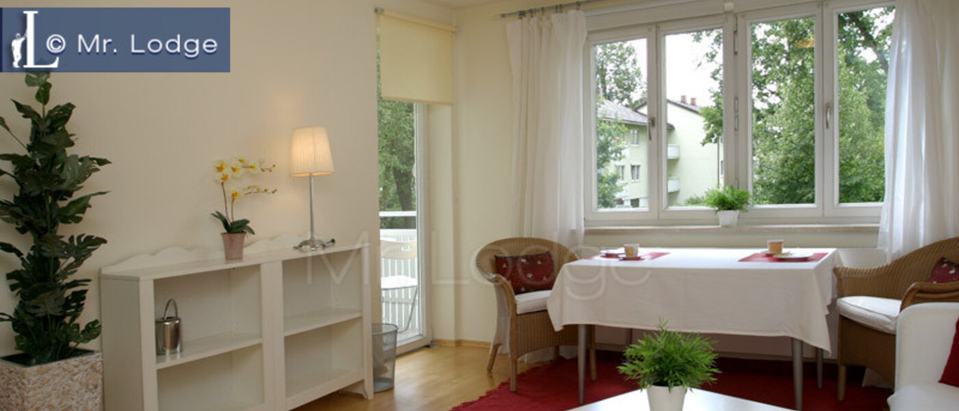 apartment München Giesing 02 living room 1323