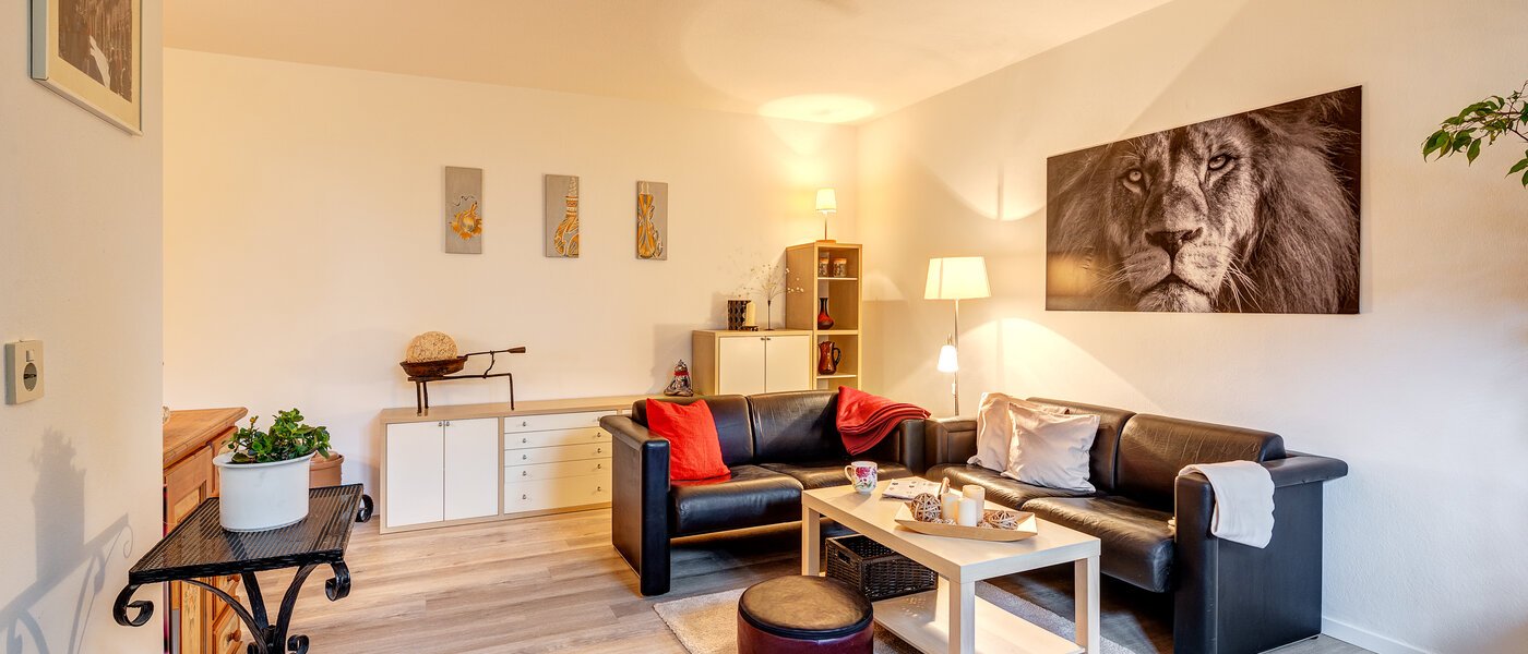 Sorry, this property has already been rented