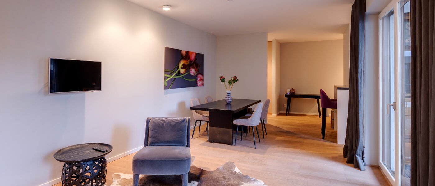 apartment München Maxvorstadt - Westen 05 living area 13240