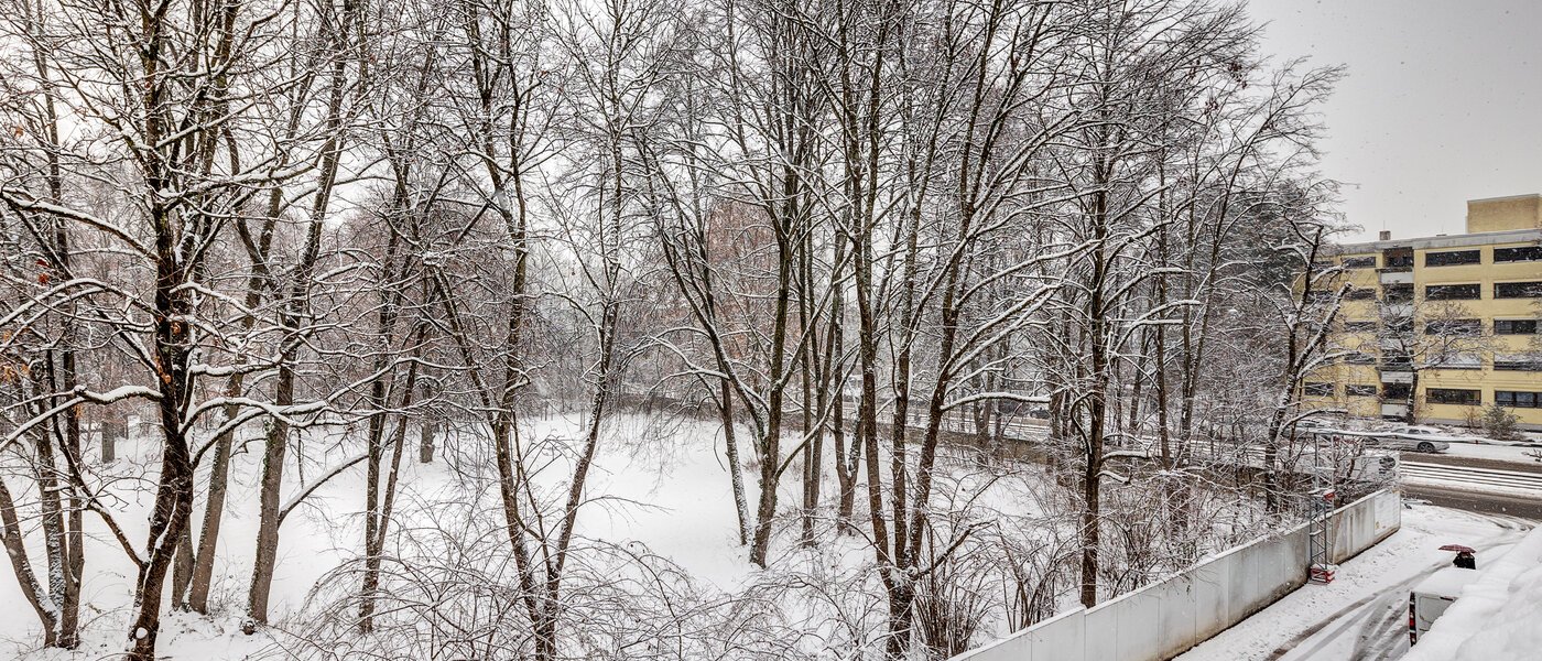 attic apartment München Giesing 02 view 13269