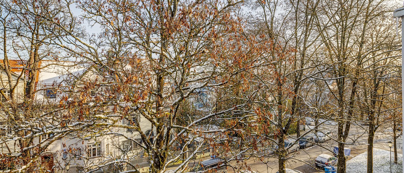 apartment München Nymphenburg 02 view 13273