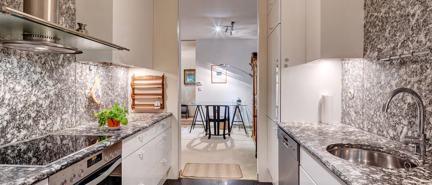 apartment München Schwabing-West (rund um den Bonner Platz) 03 kitchen 13286