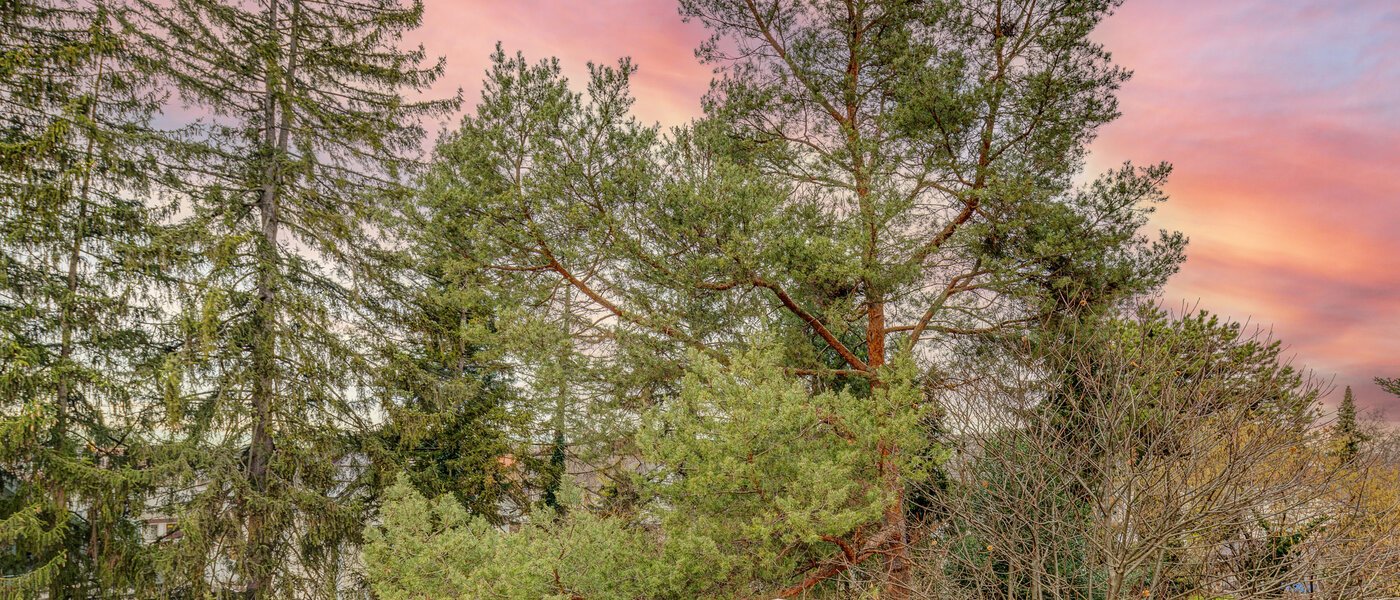 roof terrace apartment München Moosach 03 view 13292