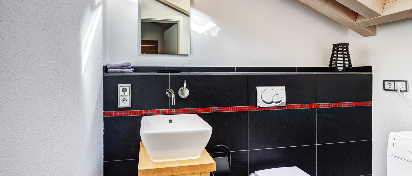 attic apartment Tegernsee 01 guest toilet 13299