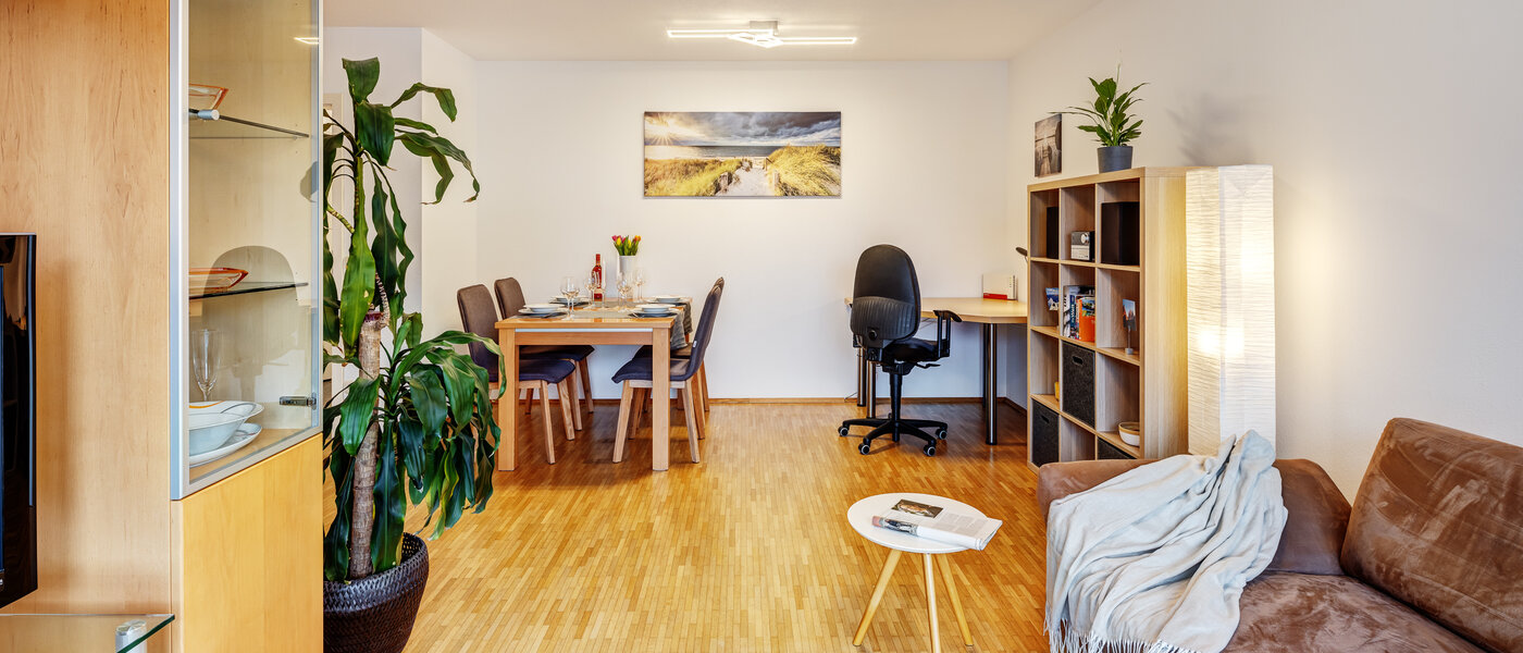 apartment München Parkstadt Schwabing 03 living area 13336