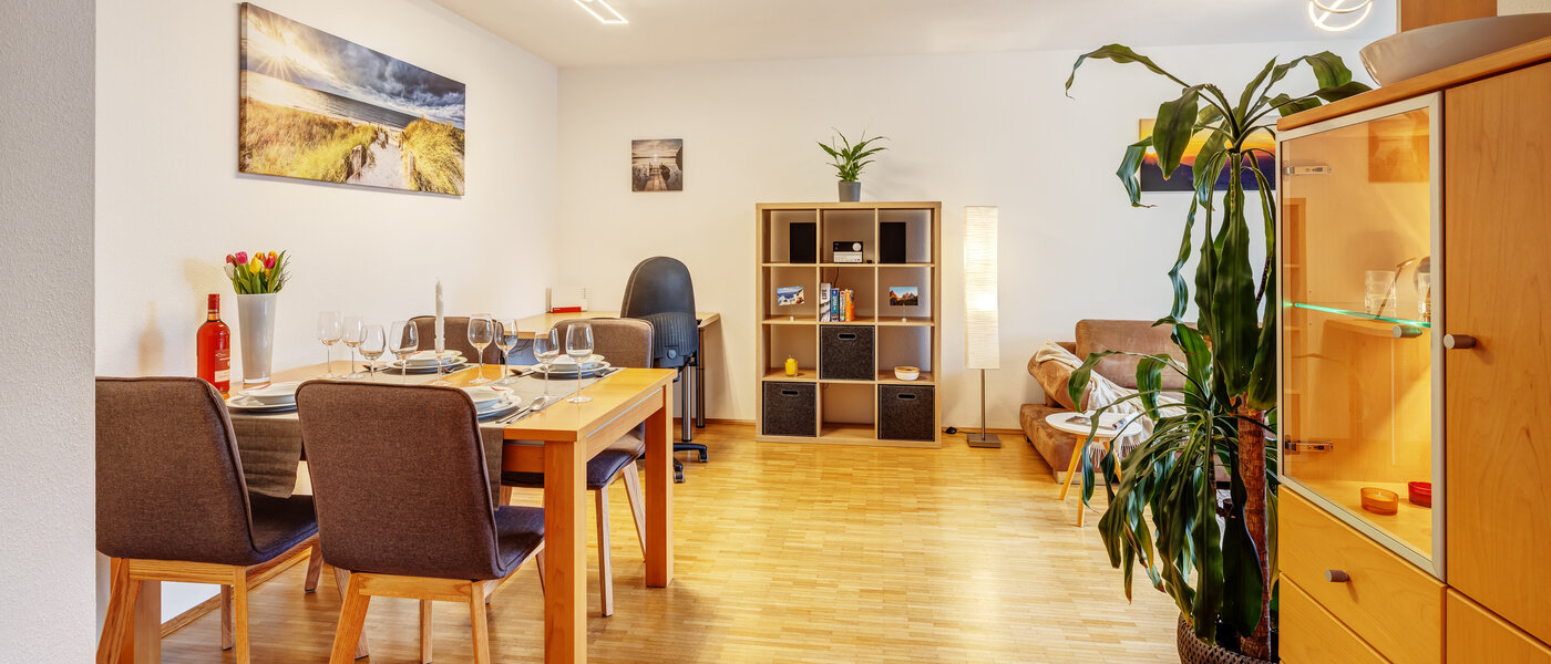 apartment München Parkstadt Schwabing 04 living area 13336