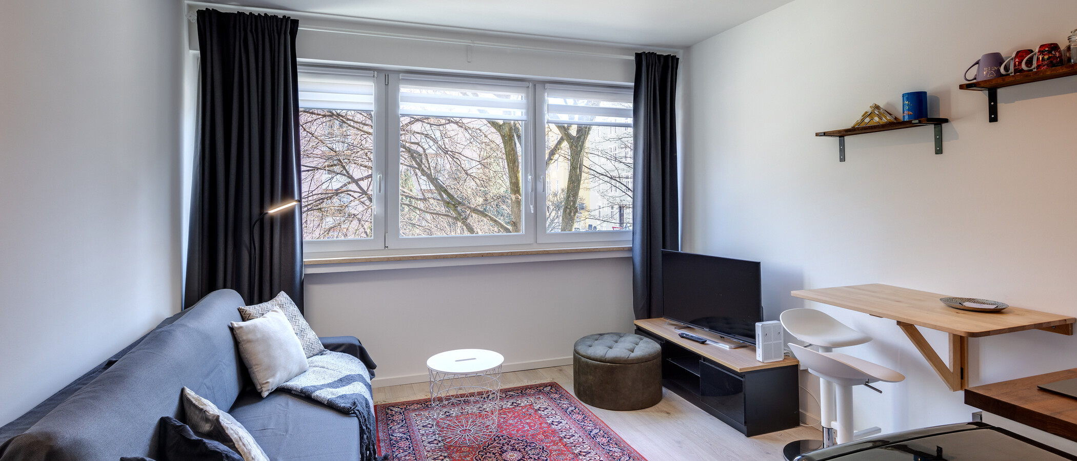 apartment München Maxvorstadt 01 living area 13357