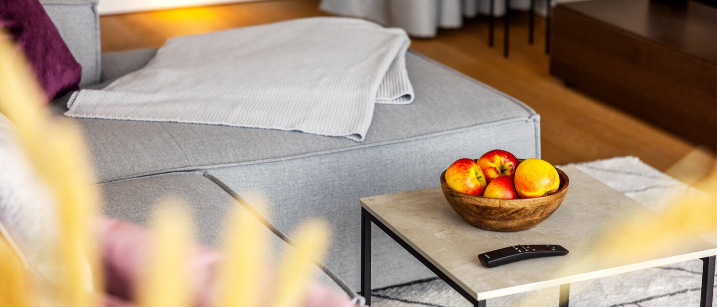 apartment München Nymphenburg 05 living area 13432