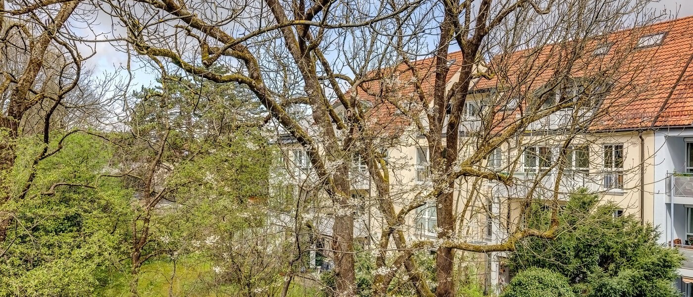 apartment München Moosach 01 view 13457