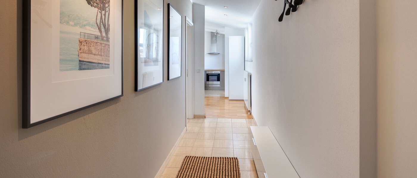 roof terrace apartment München Maxvorstadt - Westen 02 hall 13461