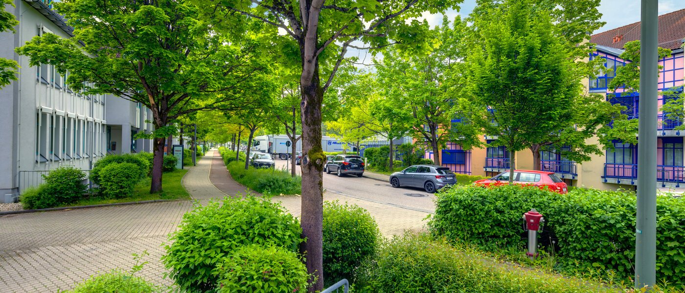 apartment Grasbrunn 02 view 13488