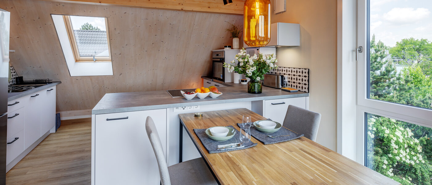 attic apartment München Berg am Laim 05 kitchen 13504