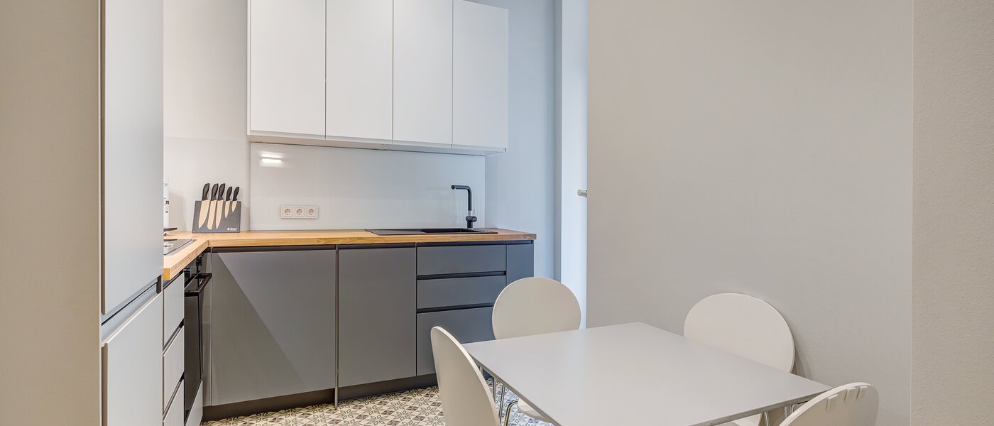 apartment München Isarvorstadt 01 kitchen 13525