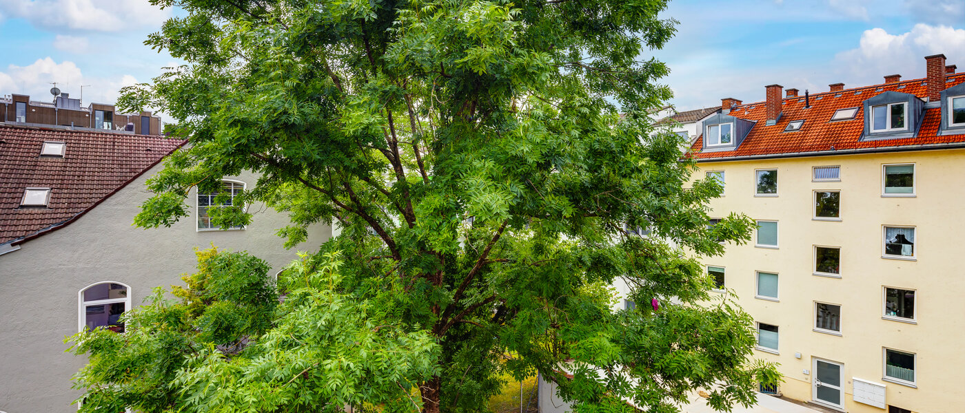 apartment München Milbertshofen 01 view 13553