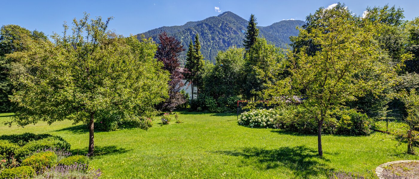 apartment with garden 	 Schliersee 01 view 13576