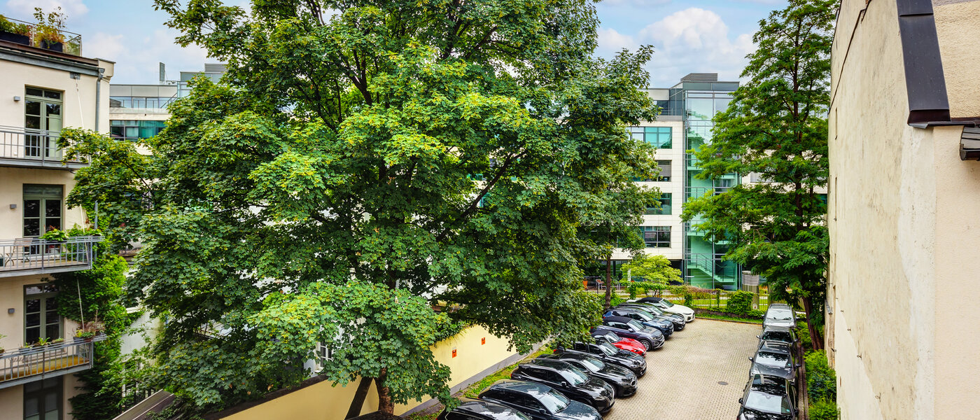 apartment München Lehel 03 view 13583