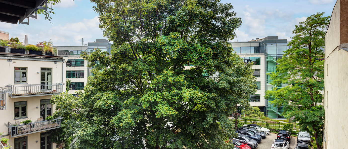 apartment München Lehel 04 view 13584