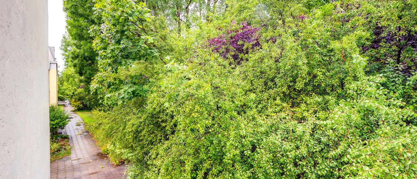 apartment München Pasing 03 view 13585