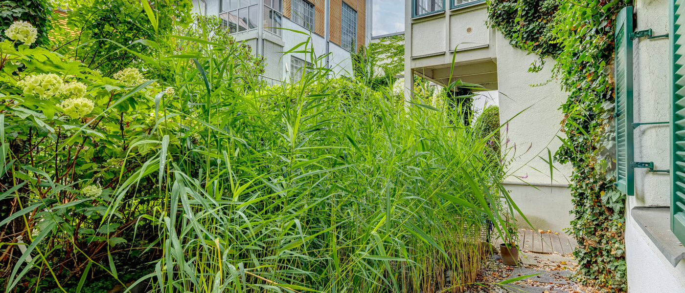 apartment München Au 03 inner courtyard  13588
