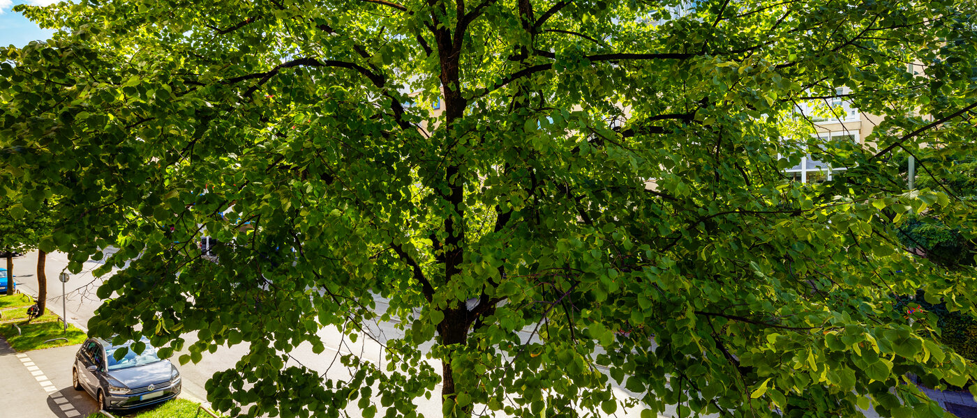 apartment München Milbertshofen 02 view 13602