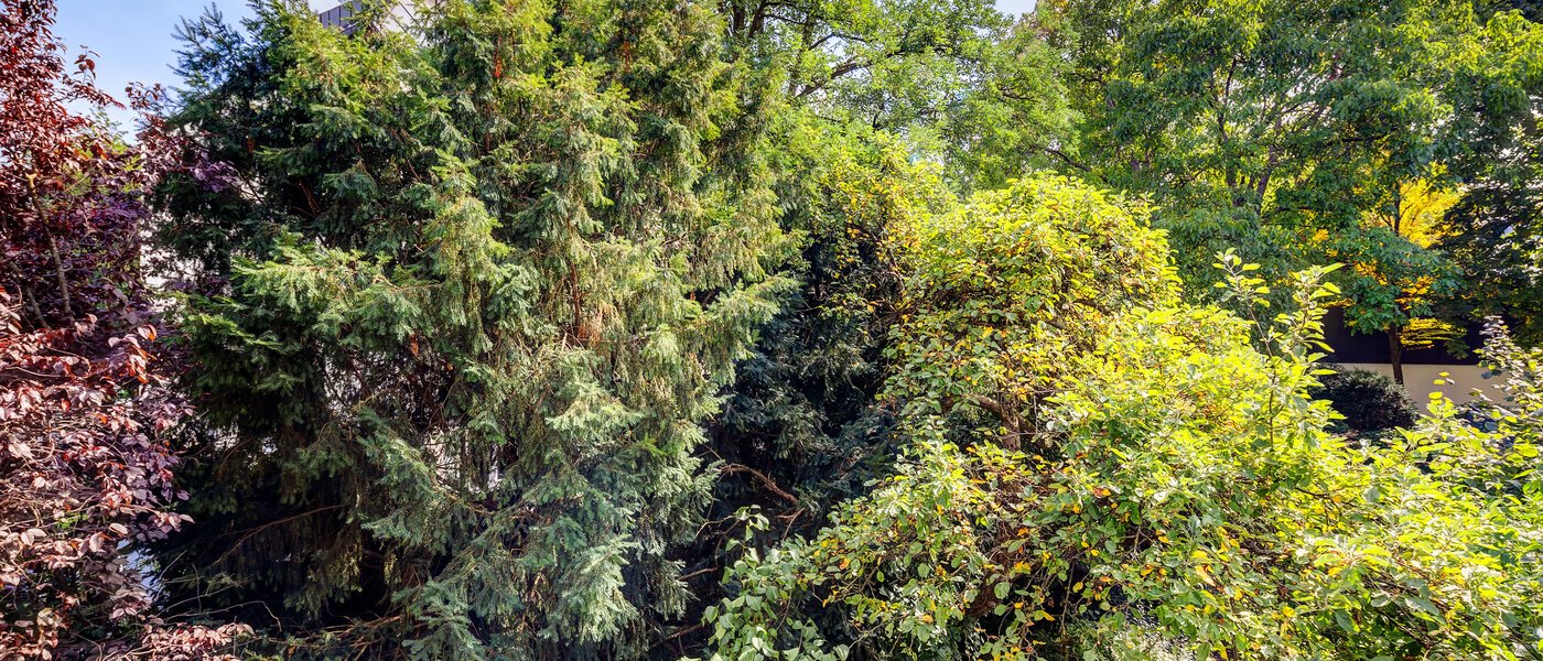 apartment München Altbogenhausen 04 view 13633