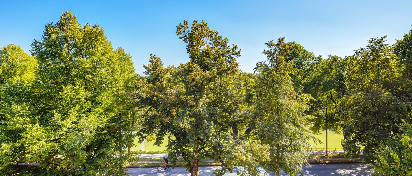 attic apartment München Nymphenburg 01 view 13654