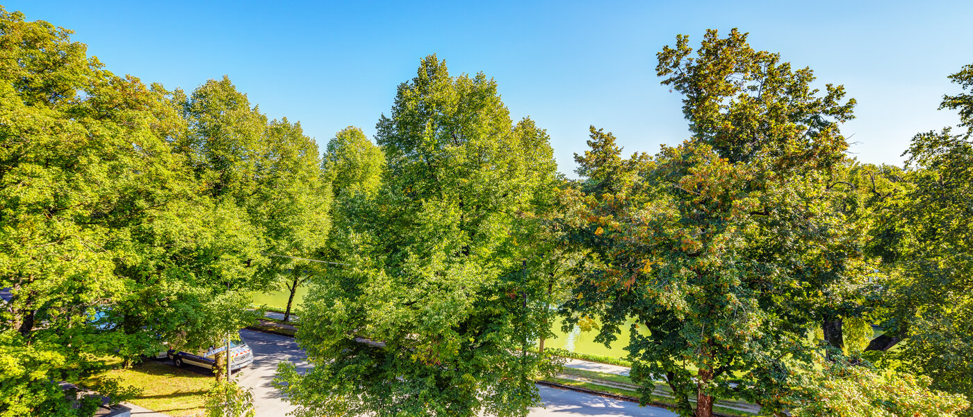 attic apartment München Nymphenburg 02 view 13654