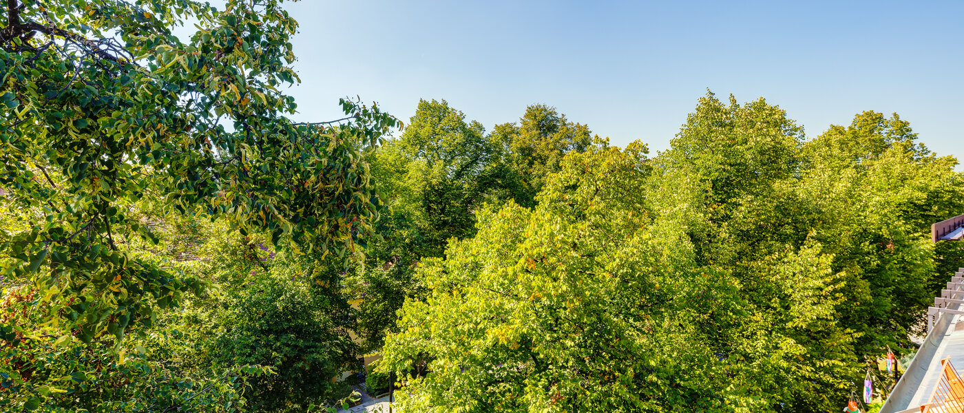 roof terrace apartment München Ramersdorf 04 view 13657