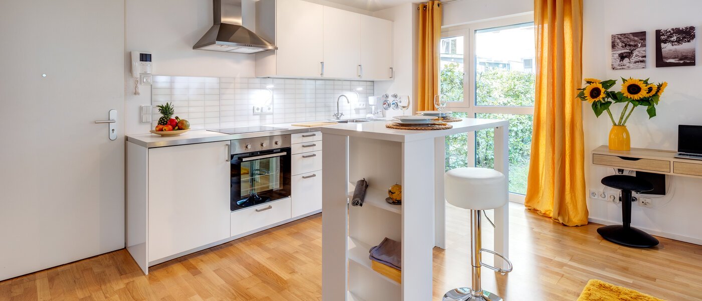apartment München Obergiesing 01 kitchen 13663