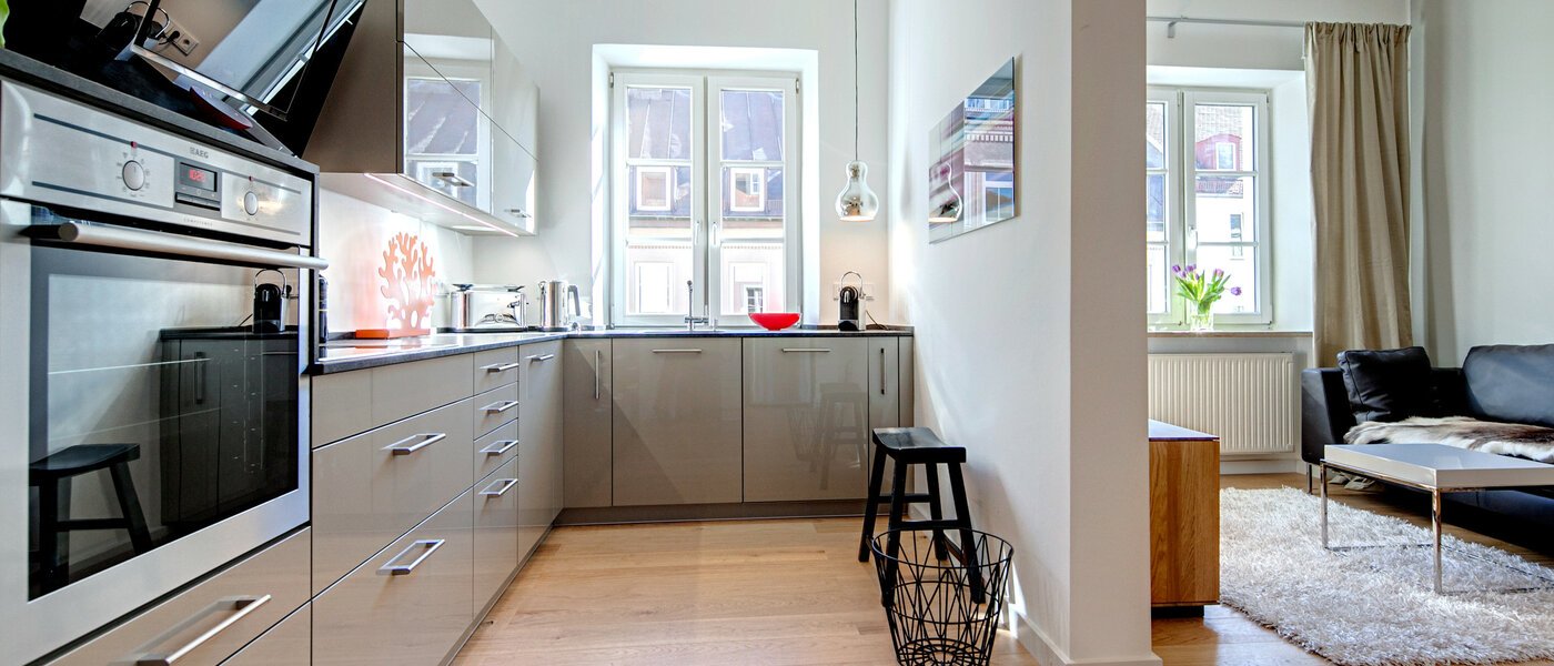 apartment München Maxvorstadt - Universitätsviertel 01 kitchen 1368