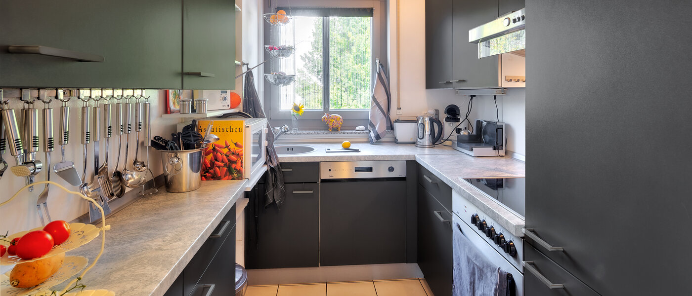 apartment Unterhaching 01 kitchen 13690