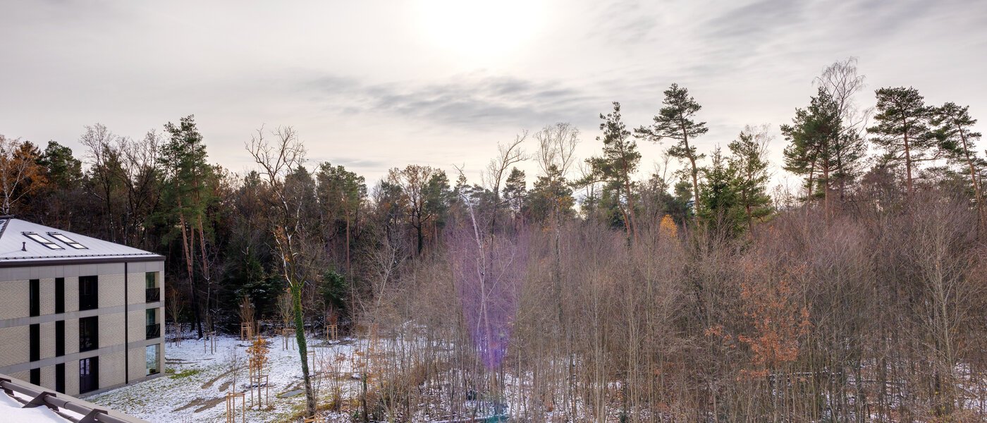 attic apartment Haar 01 view 13695