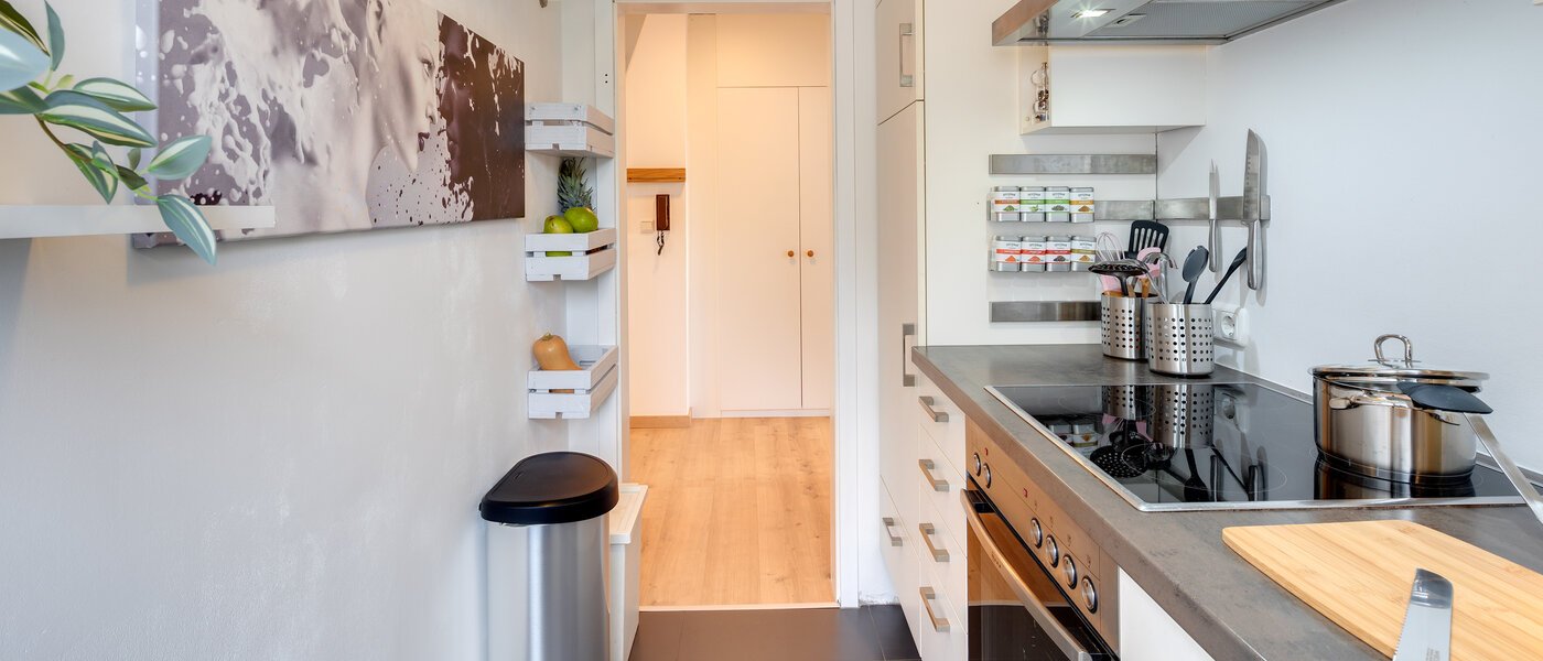 attic apartment Eching 02 kitchen 13716