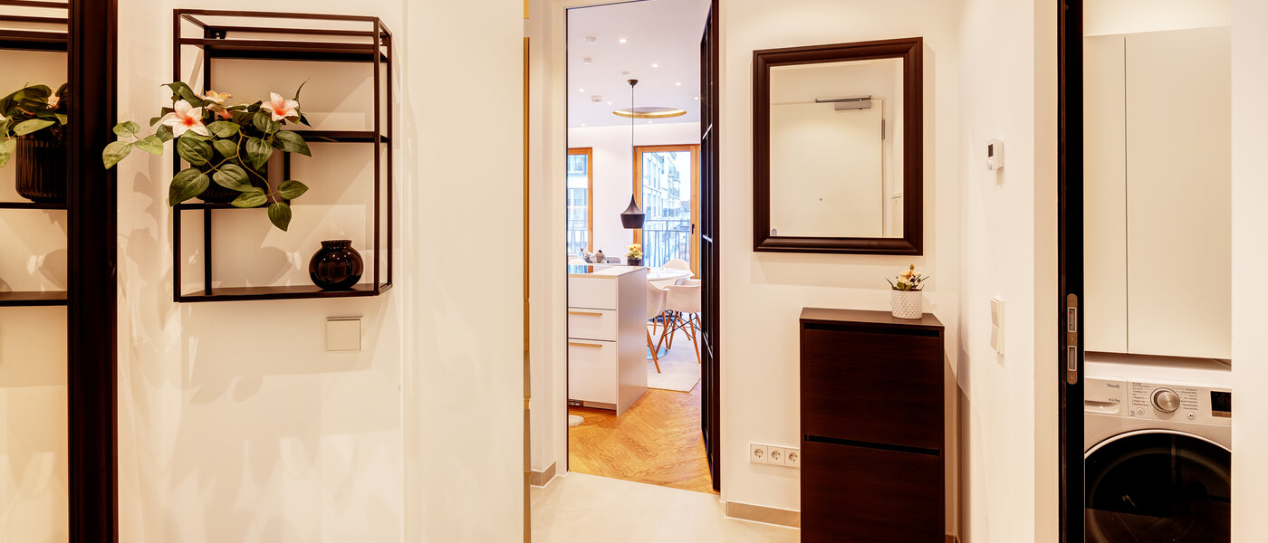 apartment München Haidhausen 03 hall 13772