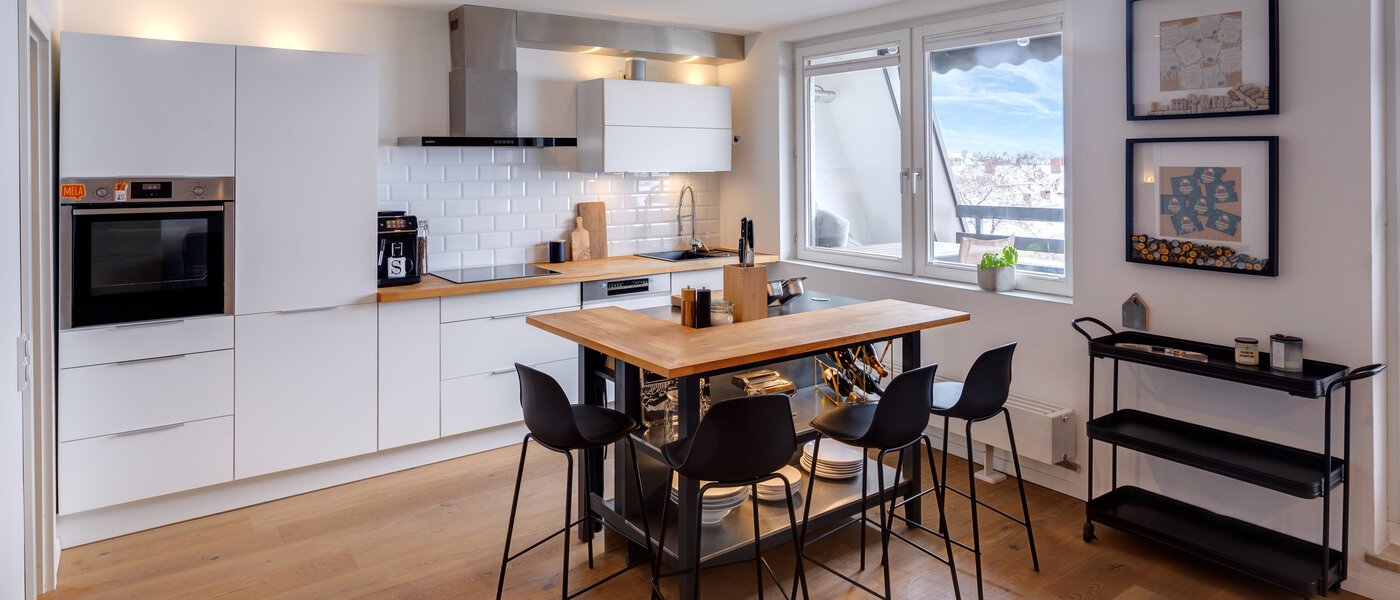 roof terrace apartment München Obergiesing 01 kitchen 13824