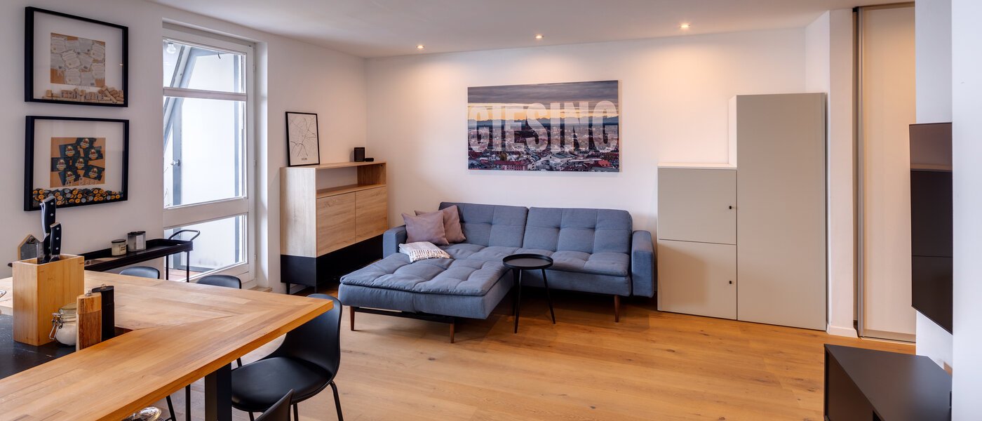 roof terrace apartment München Obergiesing 03 living area 13824