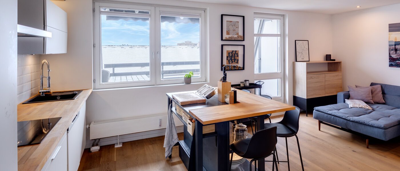 roof terrace apartment München Obergiesing 05 living area 13824