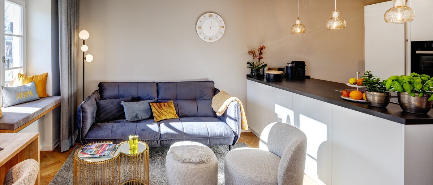 apartment München Schwanthalerhöhe 02 living area 13877