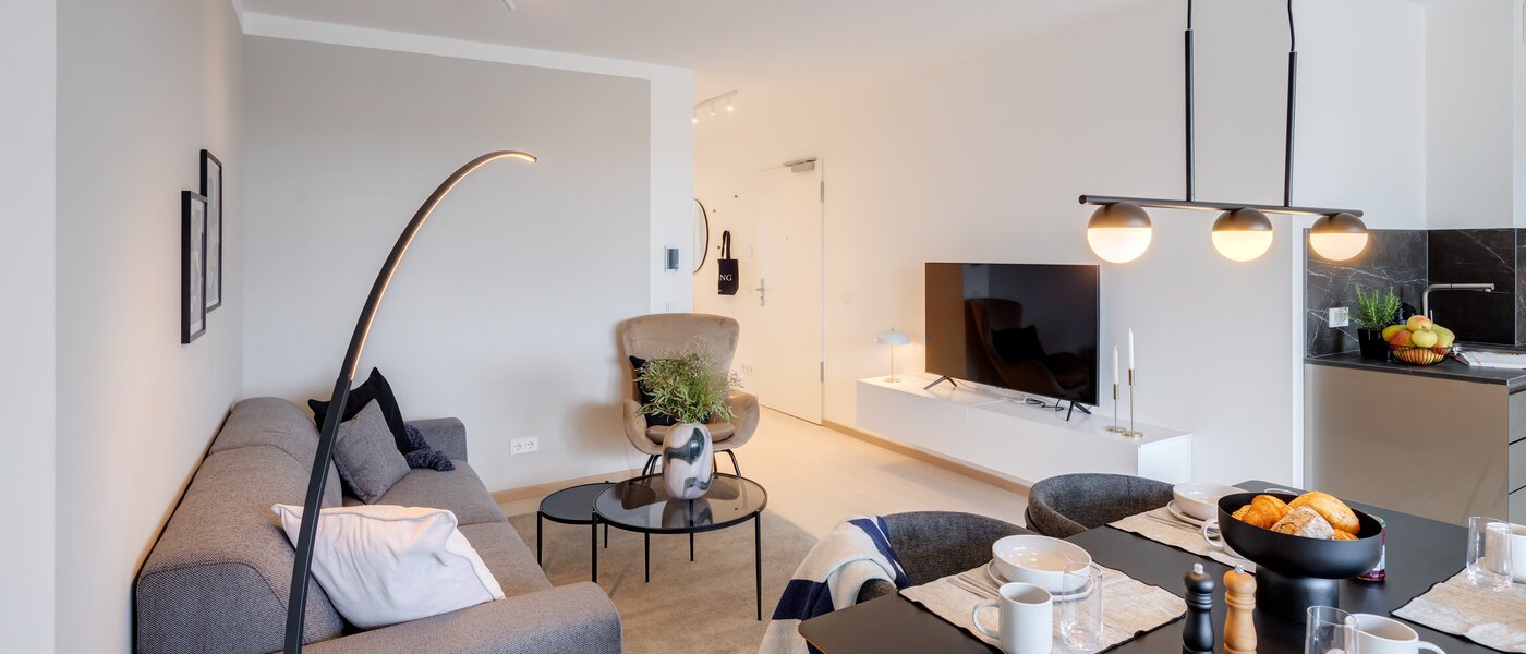 apartment München Haidhausen 03 living area 13880