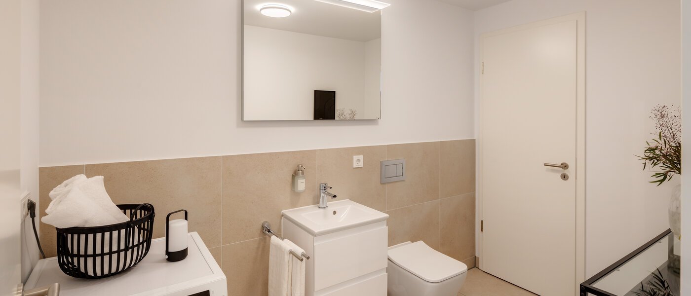 apartment München Haidhausen 01 guest toilet 13881