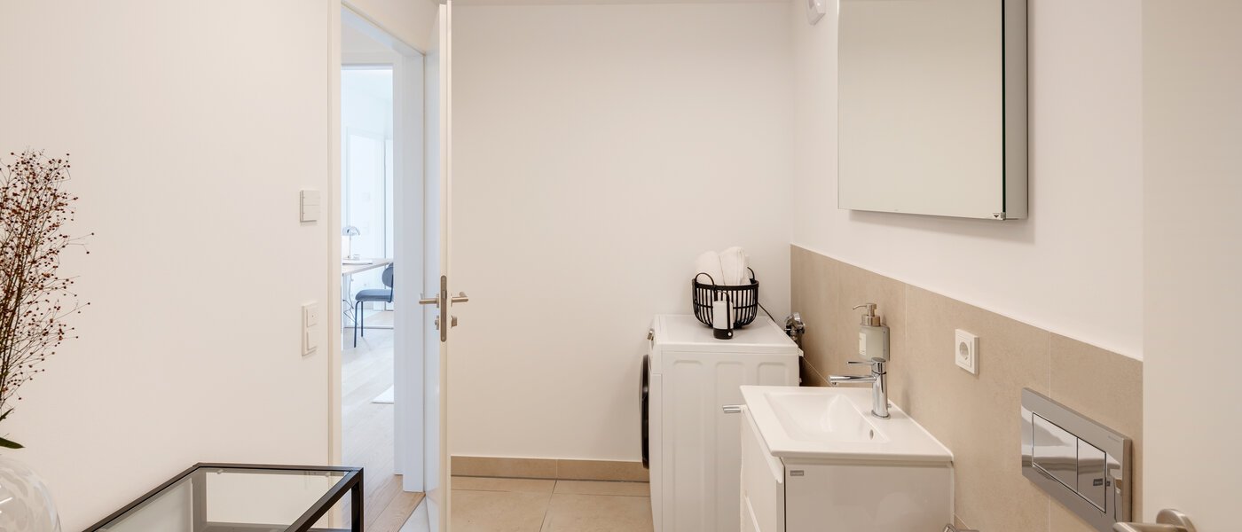 apartment München Haidhausen 03 guest toilet 13881