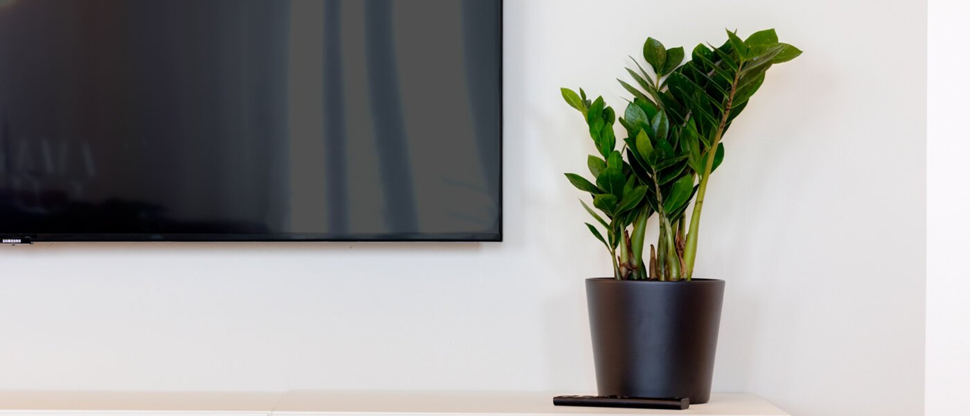 apartment München Haidhausen 04 living area 13881