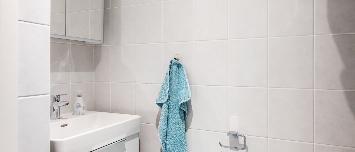 apartment Gmund am Tegernsee 03 bathroom 13882