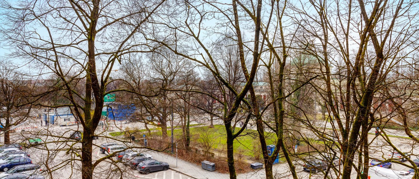 apartment München Obergiesing 02 view 13886