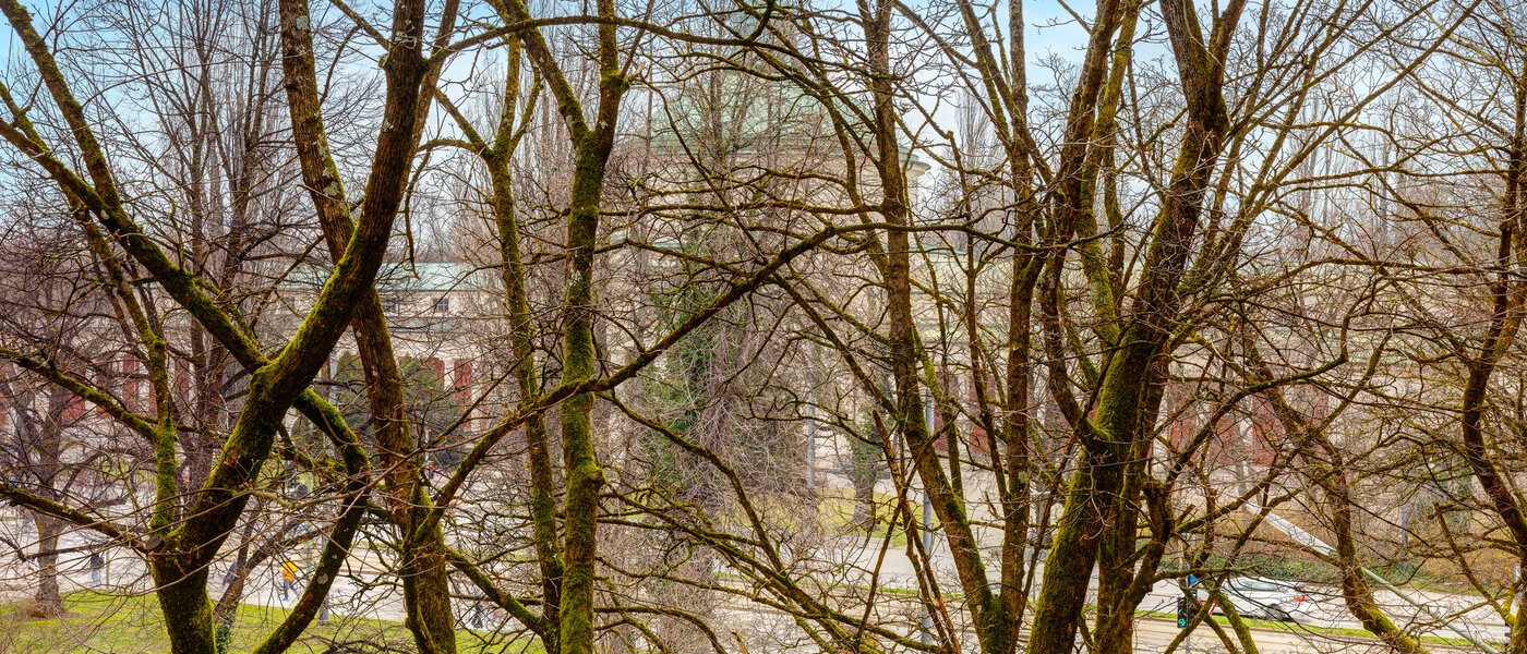 apartment München Obergiesing 03 view 13886