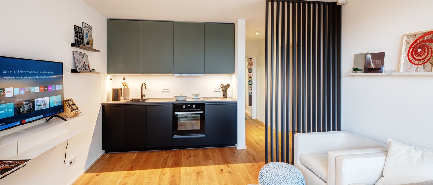 apartment München Obergiesing 01 living area 13886