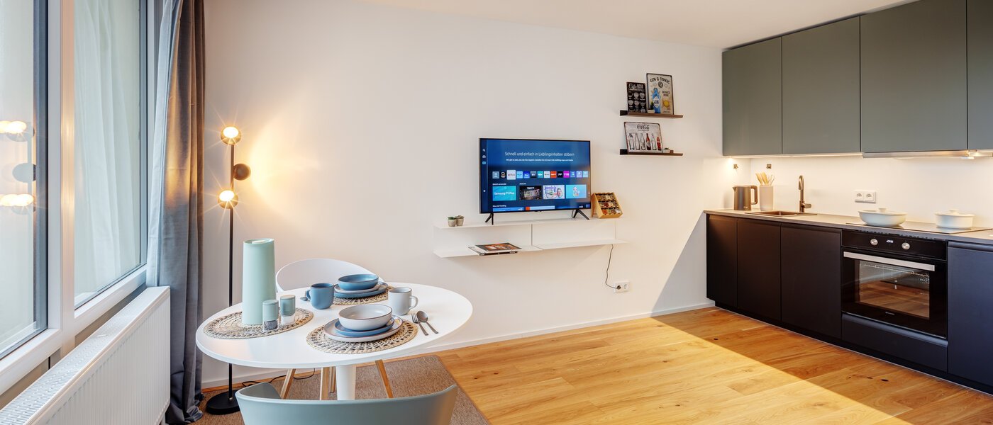 apartment München Obergiesing 04 living area 13886