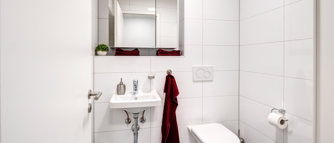 apartment Herrsching am Ammersee 01 guest toilet 13942