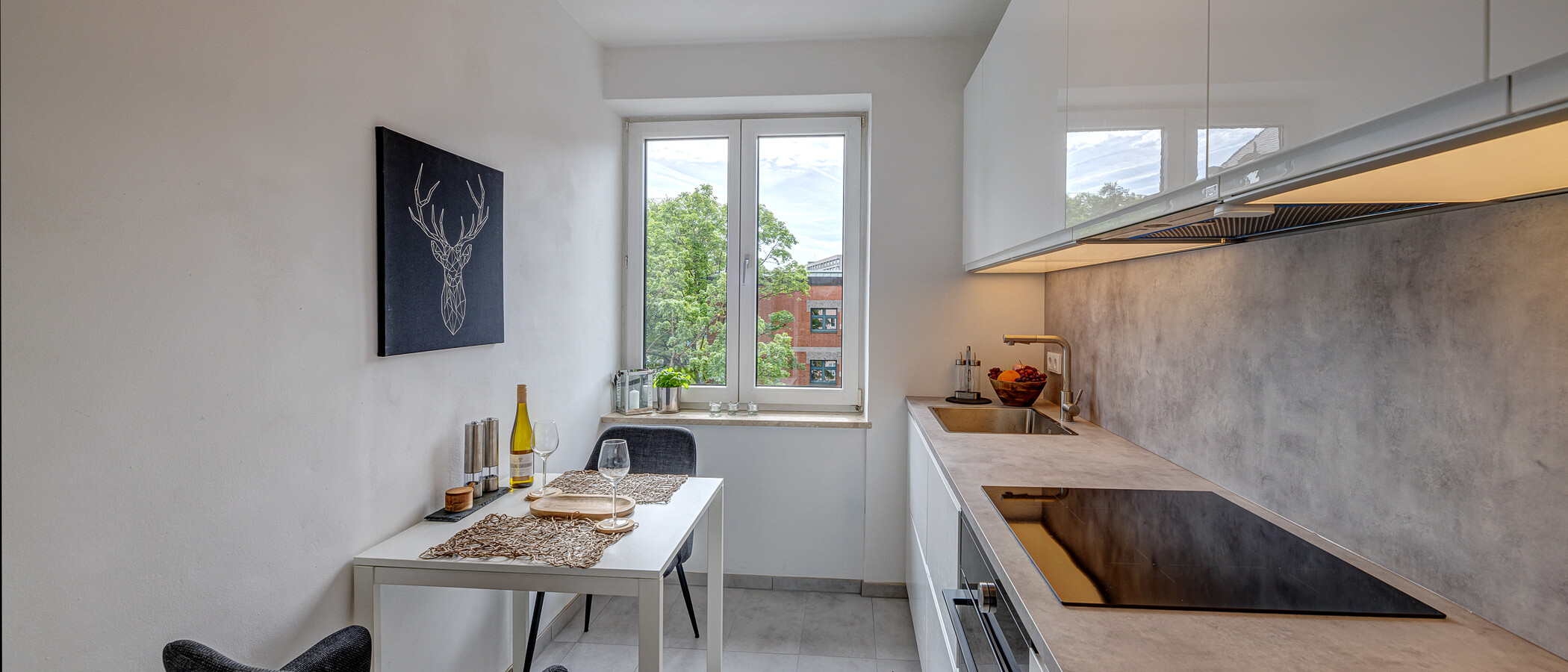 apartment München Maxvorstadt 01 kitchen 13953