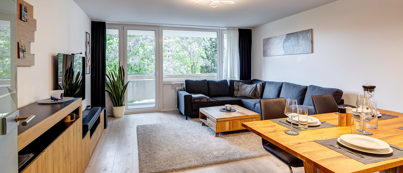 apartment Unterhaching 01 living area 13955